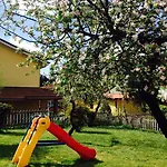 Il Ghiro