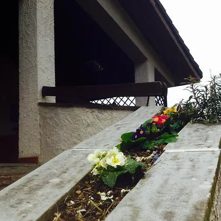 Il Ghiro Riccò del Golfo di Spezia