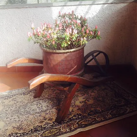 Bed & Breakfast Il Ghiro *
