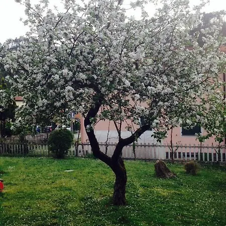 Bed & Breakfast Il Ghiro