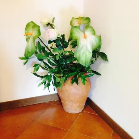 Il Ghiro Bed & Breakfast