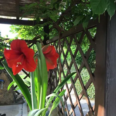 B&B Il Ghiro 리코 델 골포 디 스페지아