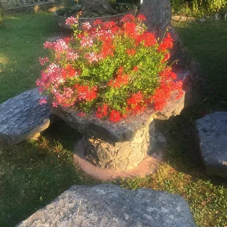 Bed & Breakfast Il Ghiro