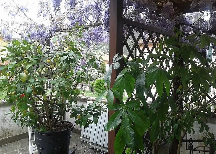 伊尔吉罗住宿加早餐旅馆 3* 日科德尔格尔福迪艾斯