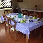 Il Ghiro