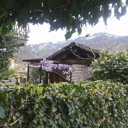 Il Ghiro