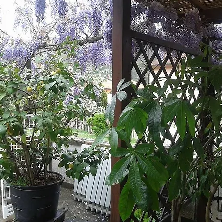 伊尔吉罗住宿加早餐旅馆 3* 日科德尔格尔福迪艾斯