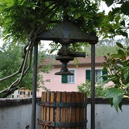 Il Ghiro