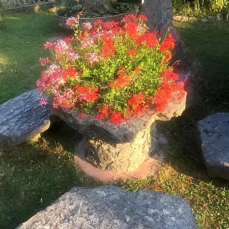 Il Ghiro Riccò del Golfo di Spezia