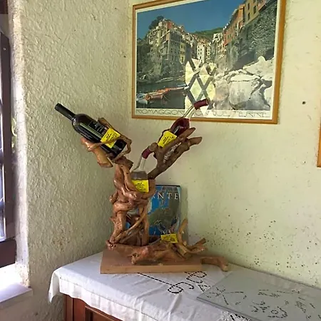 Il Ghiro