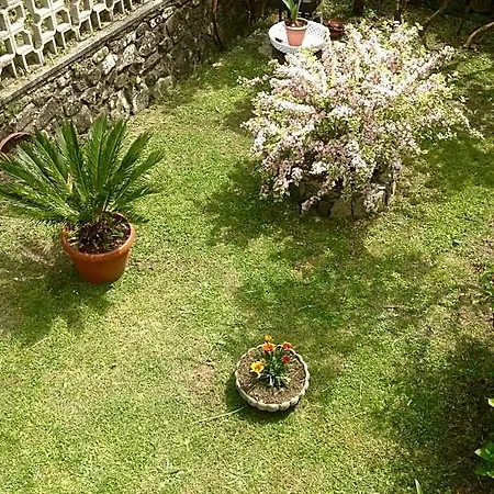 Il Ghiro Riccò del Golfo di Spezia