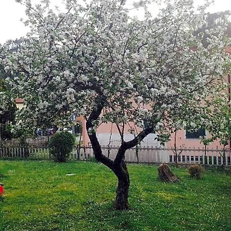 Il Ghiro Riccò del Golfo di Spezia