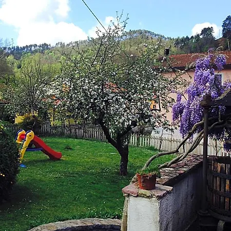Il Ghiro 3*