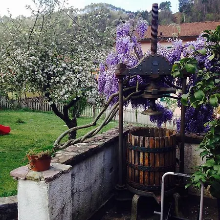 Il Ghiro Bed & Breakfast