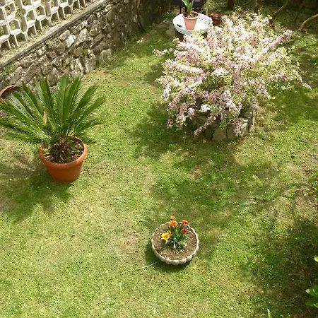 Il Ghiro *