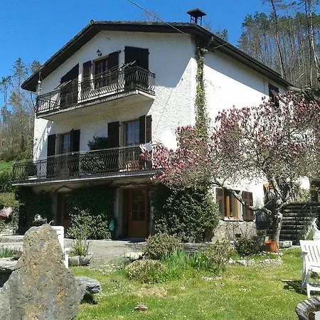 Il Ghiro Riccò del Golfo di Spezia