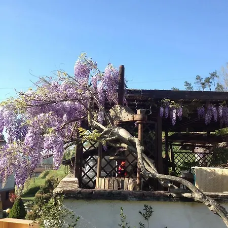 Il Ghiro Bed & Breakfast