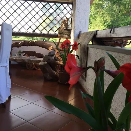 Alojamento de Acomodação e Pequeno-almoço Il Ghiro Riccò del Golfo di Spezia
