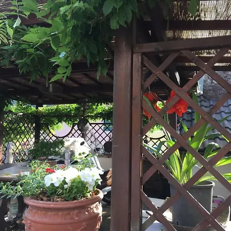 Il Ghiro * Riccò del Golfo di Spezia