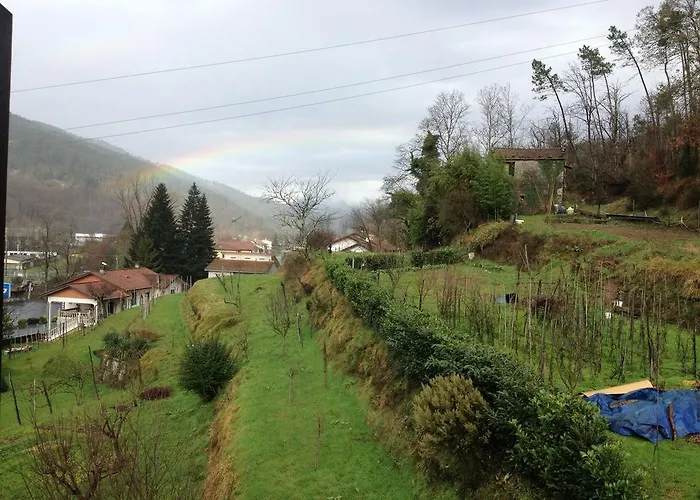 Il Ghiro