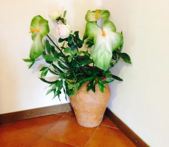 Il Ghiro לינה וארוחת בוקר