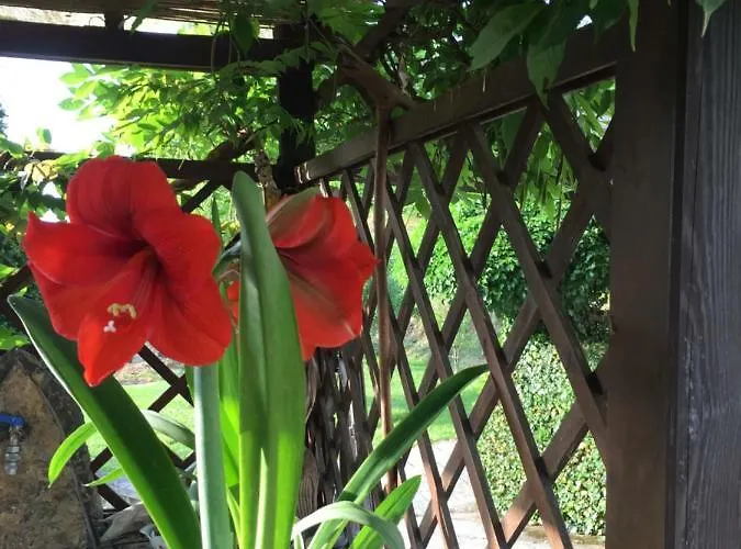 לינה וארוחת בוקר Il Ghiro ריקו דל גולפו די ספאציה